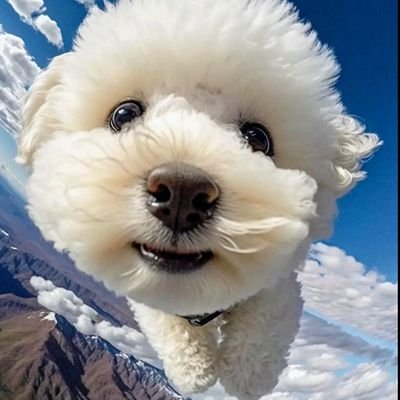 Astr0On's profile picture. PUSB