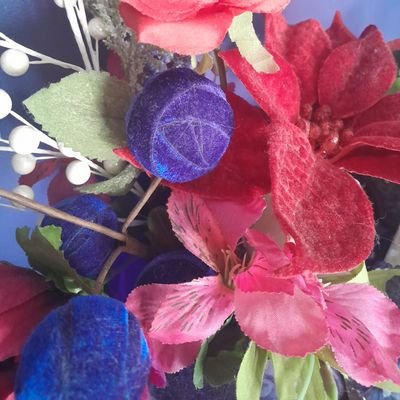 homehealer42's profile picture. 