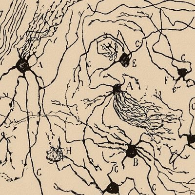 TiburtinaJ's profile picture. O