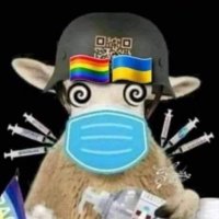 FedorKosh (@fedorkosh) Twitter profile photo