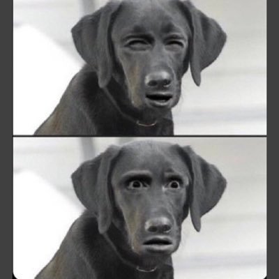 ryyyyMk's profile picture. 