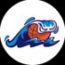 Riptide 2028 (@riptide2028) Twitter profile photo Riptide 2028 (@riptide2028) Twitter profile photo