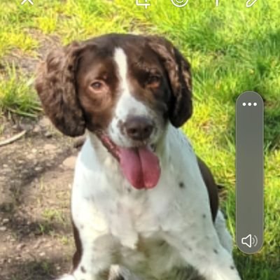 thevoice1's profile picture. Police officer for my local force and volunteer unit commander for police cadets aged 13-18 years.