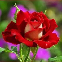 ESTHER MARIA (@esthermaria2023) 's Twitter Profile