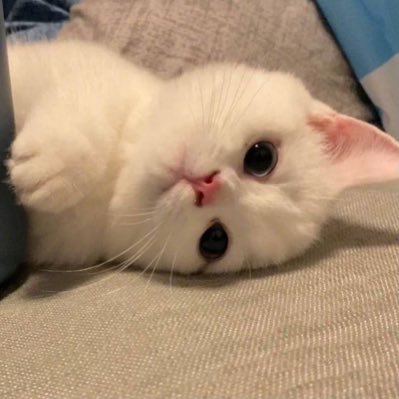 _____wooyu's profile picture. 