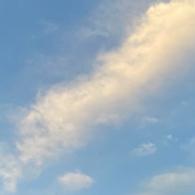 dkazo_24's profile picture.