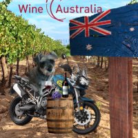 MacduffTheMiniSchnozza (@mschnozza) 's Twitter Profile