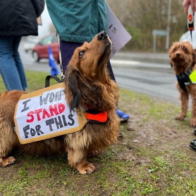 ICM/AIM SpR. ICM trainee rep SW. love a diagnostic mystery, livers, obesity, health inequality. Ruled by a dachshund. love History&reading (she/her/Brian)