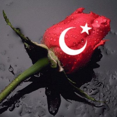 Atatürk düşmanları az ötede kudurun...🦅🕊♏
''Biz kimsenin düşmanı değiliz.Yanlız insanlığın düşmanı olanların düşmanıyız.''
Mustafa Kemal Atatürk.