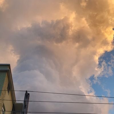 TruthIsLiberty4's profile picture. #TruthMatters. Inverse is the relationship between knowledge and knowing.