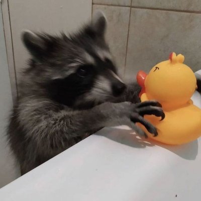 Lainkeyさんのプロフィール画像
