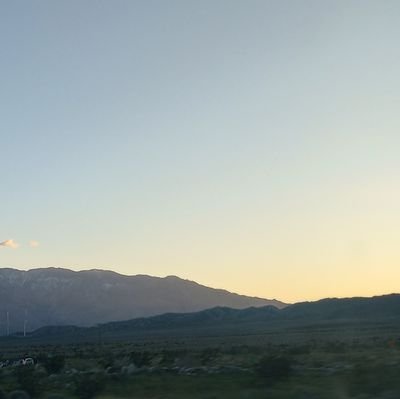 whynotcannabis's profile picture. 