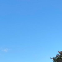 よし☺︎ (@stepupmygames) 's Twitter Profile