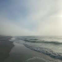Trent Dimevel (@domt51963536) 's Twitter Profile