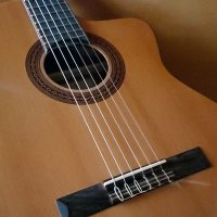 Virginia Martinez (@virgini55093172) 's Twitter Profile