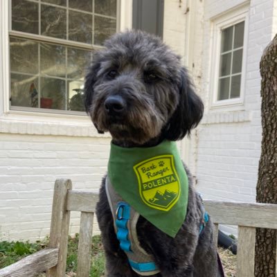 I’m Polly Polenta the doodle! I’m a rescue dog turned Bark Ranger and I live/work in a park with Mom M and Mom D 👭 🏳️‍🌈 IG: @polenta_the_doodle