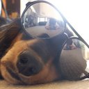 ruben shapiro - @RubenShapiro - Twitter