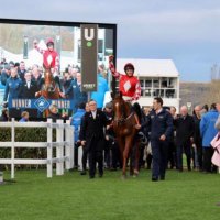 JOEY LOGAN - Grangeclare Stud (@joeye_logan) 's Twitter Profile