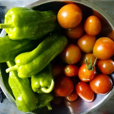 週末家庭菜園で野菜を育てています🍅🍆🥕🥔基本的には化学肥料は使わず有機農法で行っています。まだまだ失敗することも有りますが、楽しんで野菜作りをしています。愉快な仲間(4匹の猫)達もいます。無言フォロー失礼します🙇‍♂🙇‍♀💦無言フォロー大歓迎！(但しエロ垢等はブロックします)☆皆様よろしくお願いします！