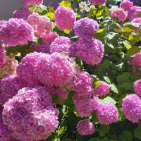 Marie-Bx #DDF 🇫🇷🇪🇺✡️🇺🇦 (@mariebx56) 's Twitter Profile