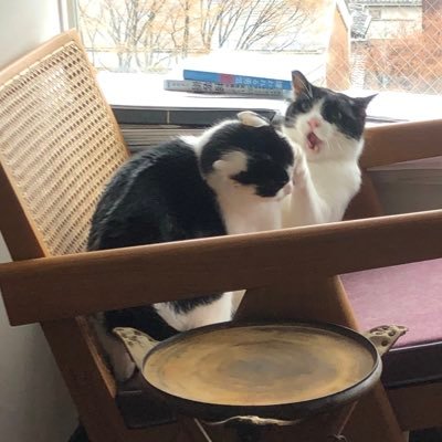 non561018's profile picture. 