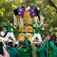 まーちん_公式 (@masatonbo0310) 's Twitter Profile Photo