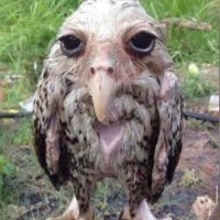 Gabe (@offperkyfgc) 's Twitter Profile Photo