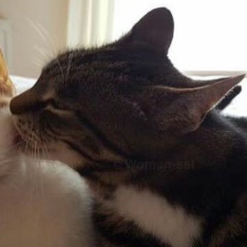 doniswrld's profile picture. @ughealy 🥺❤️💍