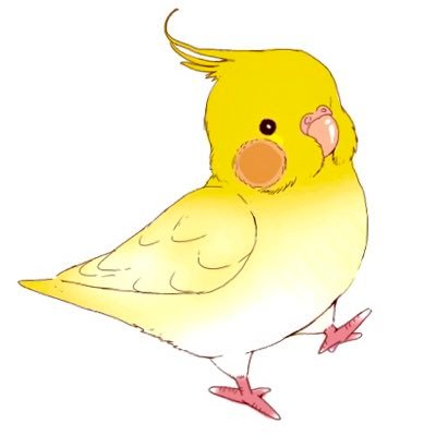 子育て支援の拡充と年少扶養控除復活を求めてます。インコのかわいさを世界に発信したい。子育て支援拡充を目指す会@children1stjp 応援 カオマンガイ