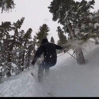 Simon Gislimberti (@simonsaystek) 's Twitter Profile