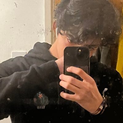 L.P Roiz  fan account