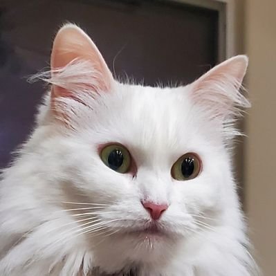 MikeStanle99560's profile picture. 