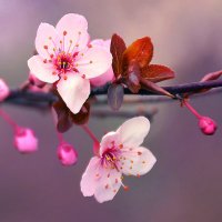 aGODta (@agodta) 's Twitter Profile Photo