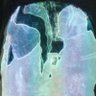 NeiKaradog's profile picture. Bardd. Cydlynydd prosiectau @CPeniarth. @PodlediadClera Cadeirydd Cymdeithas Cymru-Llydaw. Diselcsic. Brezhoneger, Français, Castellano e um pouco de Português