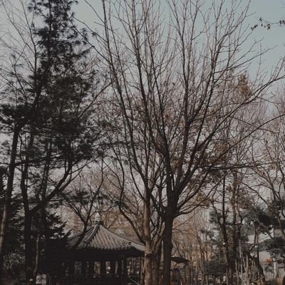 hettynsm's profile picture. Dream as far as I could.