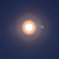LION (@lxiuhe31) 's Twitter Profile