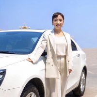 Zhang Iris(@Iriscarsupplies) 's Twitter Profile Photo