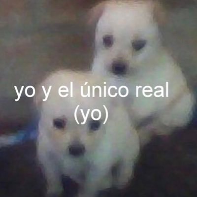 Unicornio a volar/#DatosImportantes #SoyEnfermaMental #YQué
