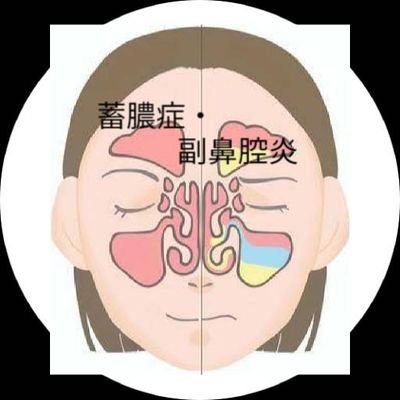 後鼻漏・蓄膿症(副鼻腔炎)@漢方薬舗幸貴堂さんのプロフィール画像