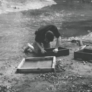 WJH_Paleon's profile picture. researcher @ hofstra university studying long island paleontology, crocodilian neuroanatomy, and dino phylogenetics/paleoecology; intermediate paleontologist