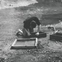 William Jude Hart - @WJH_Paleon - Twitter