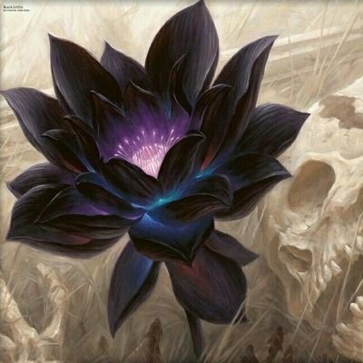 BlackLotus1456 Profile Picture