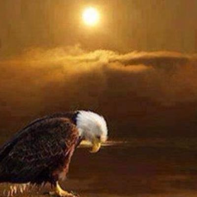 jefftv_07's profile picture. 🇺🇸Jesus is my King. Mathew 5:9. Husband, father. Pro Life, support 1A/2A, POTUS45, MAGA. EndWokeness🇺🇸