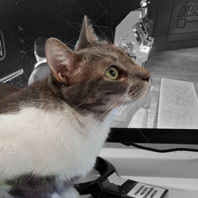 🐱 Padre de Sálem, La Hire y Atila el Huno 🖤.
📺 Esports Broadcaster
🎥 Esports Observer