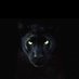 Veranso Kenyuyfoon (@vkenyuyfoon) Twitter profile photo Veranso Kenyuyfoon (@vkenyuyfoon) Twitter profile photo