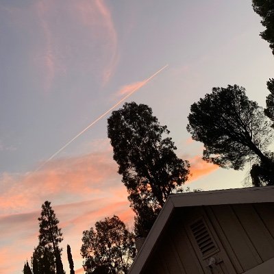 eggatron_'s profile picture. 