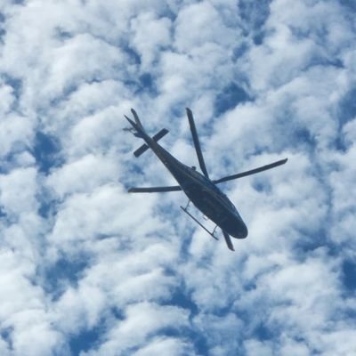 chilehead33's profile picture. 