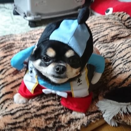 jGcJh41LfdZIEna's profile picture. 馬大好き、今年こそは＋収支に(^o^)