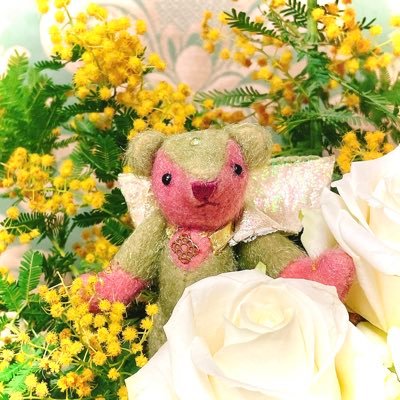 べんじ🧸ゃみんさんのプロフィール画像