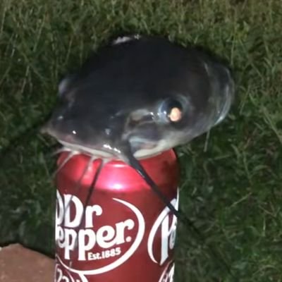 weebxD3's profile picture. hola